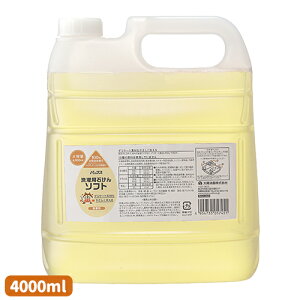 pbNX p΂\tg  l֗p e 4000ml z [Y t  RR100%]