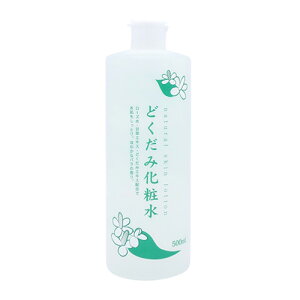 n̉ ̂ i`XL[V ǂ݉ϐ 500ml CHINOSHIO