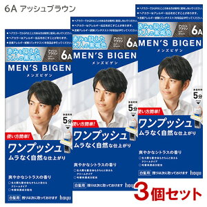 【3個セット】 メンズビゲン(MENS BIGEN) ワンプッシュ 6A アッシュブラウン ホーユー(hoyu) 【送料込(北海道除く)】 医薬部外品 男性用 白髪染め