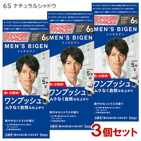 【送料無料】メンズビゲン(MENS BIGEN) ワンプッシュ 6S ナチュラルシャドウ (男性用白髪染めヘアカラー) 3個セット ホーユー(hoyu)