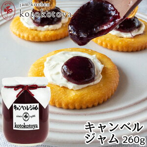 z@ŒNĂW 啪Y LxW 260g Ԃǂ Ɛ Jam kitchen kotokotoya