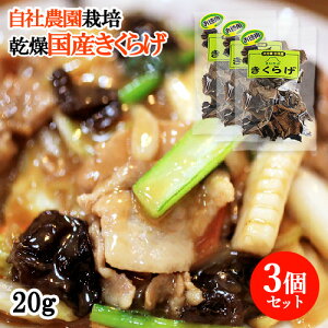 啪Y 炰 15g×3Zbg LEGCt@[y(kC)z