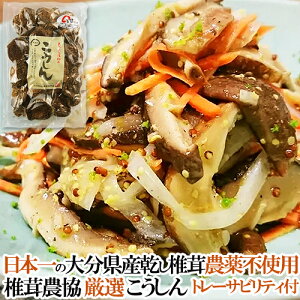 ő{̑啪Y100 NkM؍͔|VC^P P߂ȁuM/v^bv120g 啪ő_ g[TreBt