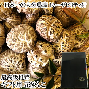 ɏiMtgpؔ ő{啪Y ؍͔|őԂǂ񂱣145g 啪ő_ g[TreBtyz