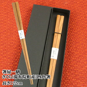 啪z@ɈĂgp V lp 22cm 