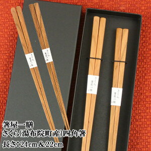 V lp 24cm22cmZbg  yz