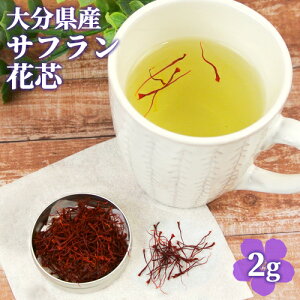 啪|cY TtԐc 2g YXpCX TtCX pGA V ԍH[񑐁yz