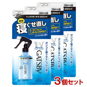 Mcr[(GATSBY) QEH[^[ l֗p 250ml×3Zbg wAX^CO }_(mandom) y(kC)z