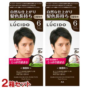 ���V�[�h(LUCIDO) �����v�b�V���P�A�J���[ 6 �_�[�N�u���E��×2�Z�b�g �������߃w�A�J���[ �}���_��(mandom) �y��������(�k�C������)�z