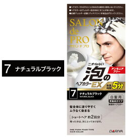 楽天市場 メンズ 泡 ヘアカラーの通販