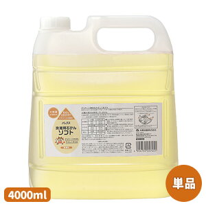 yPi(kC)z pbNX p΂\tg  l֗p e 4000ml z [Y t  RR100%]