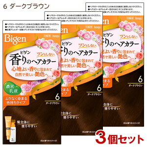 �y3�Z�b�g�z �r�Q��(Bigen) ����̃w�A�J���[ ���t 6 �_�[�N�u���E�� �z�[���[(hoyu) �������� �y������(�k�C������)�z