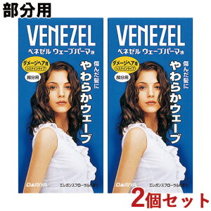 �����p ���炩�E�F�[�u �E�F�[�u�p�[�}�t �_���[�W�w�A�p 2�Z�b�g �p�[�} ���� ���� ������ �Z���t�p�[�} �x�l�[��(VENEZEL) �_����(DARIYA)�y������(�k�C������)�z