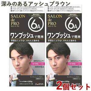  Thv vbV YJ[ 6A [݂̂AbVuE p 2Zbg 򕔊Oi mens SALON de PRO _(DARIYA)y(kC)z