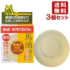 [ pn΂ 100g×3Zbg ΂  ێ YUZE y(kC)z