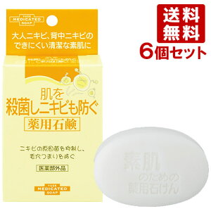 [ EۂjLrhpΌ 110g×6Zbg YUZE y(kC)z