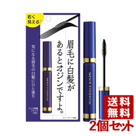 メンズ眉墨 ブラック 5g×2個セット ビナ薬粧 【送料無料】