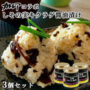 JgAݖgp ͂̂̑f ̎LNQ傤Ђ 140g×3Zbg 啪Yf т̂   Oitay(kC)z