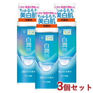 {  pϐ 170mL ×3Zbg  n_{ HADALABO [g(ROHTO)y(kC)z