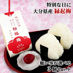 大分県産無添加梅干し 招福梅(一粒)×選べる3個セット オリジナル品種 縁起物(大願成就 合格祈願 必勝祈願 恋愛成就 子宝安産 健康長寿) 塩分16% 森梅園【送料無料(北海道除く)】