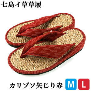 y󒍐YzC Jv\ L@  MTCY(23.0cm`24.0cm)/LTCY(24.5cm`25.5cm) VRf   { H|i ؖ{X yz