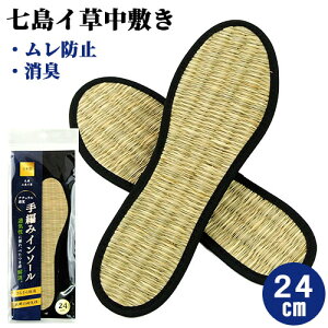 ҂ݎC C\[ 24cm (1) ~ h~ LER c{ }bT[W { H|i ؖ{X