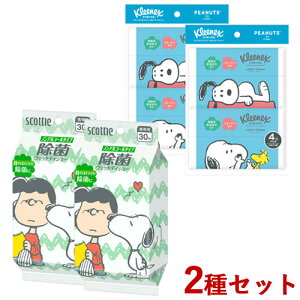 Xk[s[ NlbNX [VeBV[|Pbg10g(20)×4pbN  XRbeB EFbgeBV[ ۃmAR[^Cv30 {NVA(Crecia)y(kC