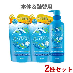 Ĉ邨 邨XCVv[ {́l֗p 490mL380mL×2 ߂ lߑւ NVG(Kracie)y(kC)z
