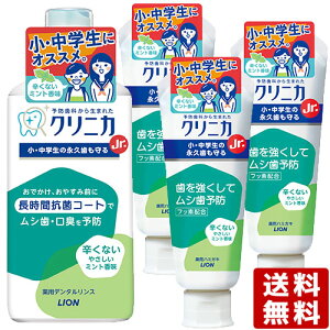 yZbg̔zNjJJrDEwɃIXX ₳~g(n~KL 60g×3{f^X 450ml) CI LIONy(kC)z