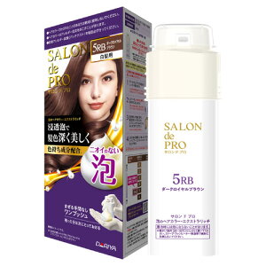�T�����h�v�� �A�̃w�A�J���[�E�G�N�X�g�����b�` �����p 5RB �_�[�N���C�����u���E�� ��򕔊O�i �������� �����v�b�V�� SALON de PRO �_����(DARIYA)