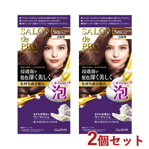 �T�����h�v�� �A�̃w�A�J���[�E�G�N�X�g�����b�` �����p 5RB �_�[�N���C�����u���E�� 2�Z�b�g ��򕔊O�i �������� �����v�b�V�� SALON de PRO �_����(DARIYA)�y������(�k�C������)�z