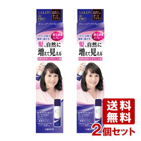 2個セット【ダークブラウン】 ボリュームアップスプレー 100g サロンドプロ(SALON de PRO) ダリヤ(DARIYA)【送料込】