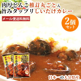 2個セット 日本一の大分県産 肉厚しいたけが丸ごと入った 椎茸カレー 1食分90g 大分県椎茸農業協同組合 が厳選した干し椎茸「若芽どんこ」たっぷり使用【メール便送料無料】