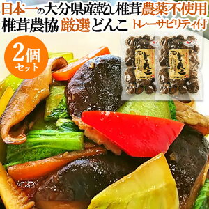 ő{̑啪Y100 NkM؍͔|VC^P ȁuǂ񂱁v100g×2Zbg 啪ő_ g[TreBtyz