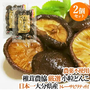 2Zbg ő{̑啪Y NkM؍͔|VC^P ؂炸Ɏguǂ񂱁v130g 啪ő_ g[TreBtyz