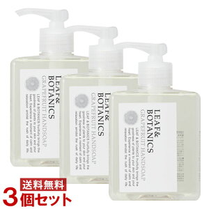 R nh\[v [t{^jNX(LEAF&BOTANICS) O[vt[c 250ml×3Zbg matsuyamay(kC)z