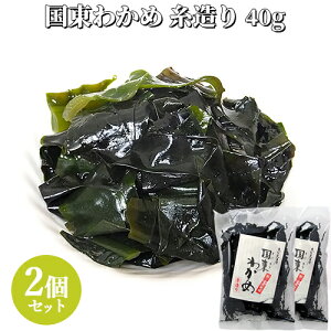 啪Y 킩  40g×2Zbg {BJ C T_ X` |̕ L㐅 |iCy(kC)z