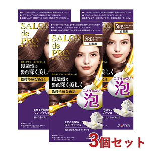�T�����h�v�� �A�̃w�A�J���[�E�G�N�X�g�����b�` �����p 5RB �_�[�N���C�����u���E�� 3�Z�b�g ��򕔊O�i �������� �����v�b�V�� SALON de PRO �_����(DARIYA)�y������(�k�C������)�z