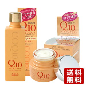 Q10 oC^GCW N΍ N[ 40g  ~LC[V t 180ml ViTAL AGE R[Z[RX|[g(KOSE COSMEPORT)y(kC)z