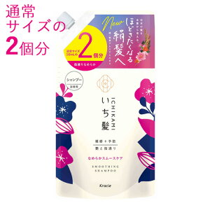  Ȃ߂炩X[XPA Vv[ l֗p 660ml 2 ߂ lߑւ ICHIKAMI NVG(Kracie)