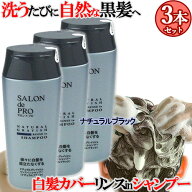 【今だけ限定SALE】サロンドプロ ナチュラルグレイッシュ リンスインシャンプー ナチュラルブラック 250m…