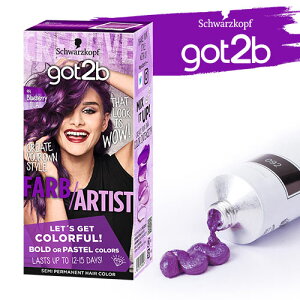 got2b (SbgD[r[) J[N[ u[x[(p[v) h蔯  wAJ[ ZtJ[ VcRt wP Schwarzkopf