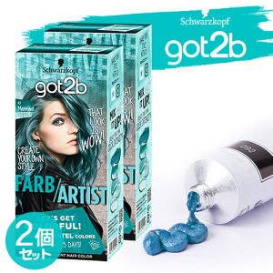 got2b (SbgD[r[) J[N[ }[ChO[×2Zbg h蔯  wAJ[ ZtJ[ VcRt wP Schwarzkopfy(kC)z