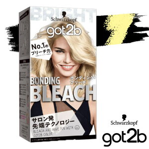 got2b (�S�b�g�D�[�r�[) �{���f�B���O�E�u���[�` (�A�t�^�[�g���[�g�����g�t��)�w�A�E�F �Z���t�J���[ �T�����i�� ��򕔊O�i �V�������c�R�t �w���P�� Schwarzkopf