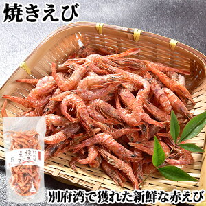 啪Y Y F GrƐĤ ʕ{pĂ 50g ̂̓VRGr CV ׂ  Y(nzs)