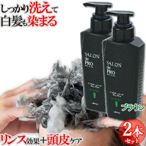 ߃Vv[ 2Zbg PA ΍ mVRVv[ X 4̓ Y J[Vv[ XJvPA 250ml _[NuE Thv(SALON de PRO) _