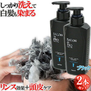߃Vv[ 2Zbg PA ΍ mVRVv[ X 4̓ Y J[Vv[ XJvPA 250ml i`ubN Thv(SALON de PRO) _