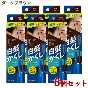 �T�����h�v�� �����������w�A�J���[ �_�[�N�u���E�� 15ml×6�Z�b�g �}�X�J���� SALON de PRO �_����(DARIYA)�y�������z