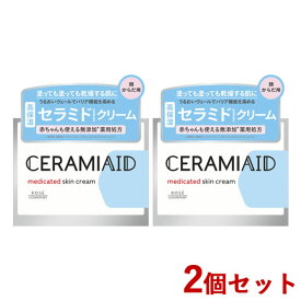 2個セット セラミエイド(CERAMIAID) 薬用スキンクリーム 140g コーセーコスメポート(KOSE COSMEPORT)【送料込】