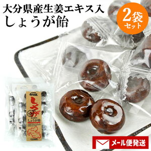 �啪���Y���I���g�p �����������ߓ`�� ���傤���� 100g×2�܃Z�b�g � ���Y �L�����f�B �������� ����� ���������� �啪���Y�y���[���֑������z